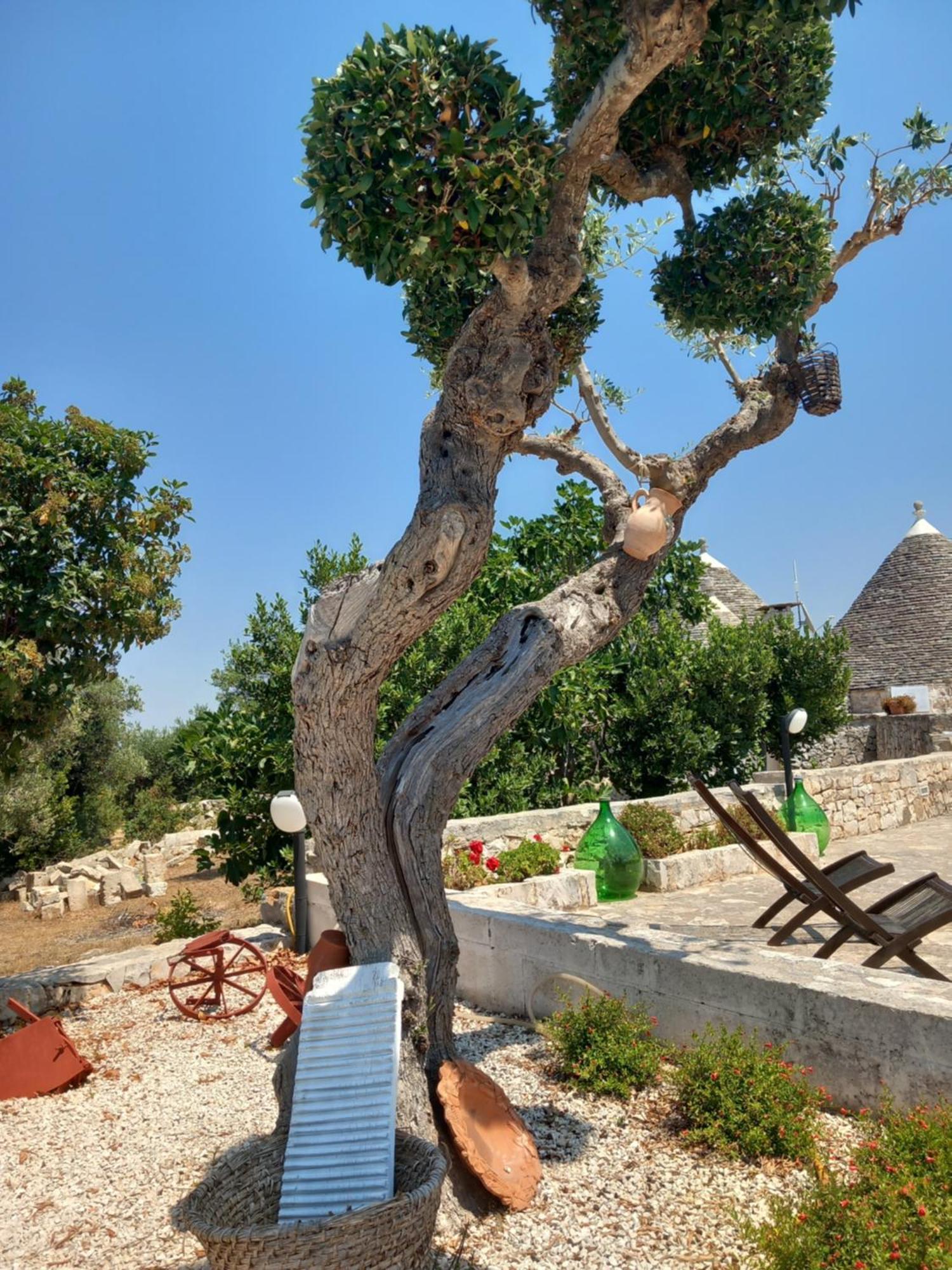 Trullo Monte Del Sale Guest House Алберобело Екстериор снимка