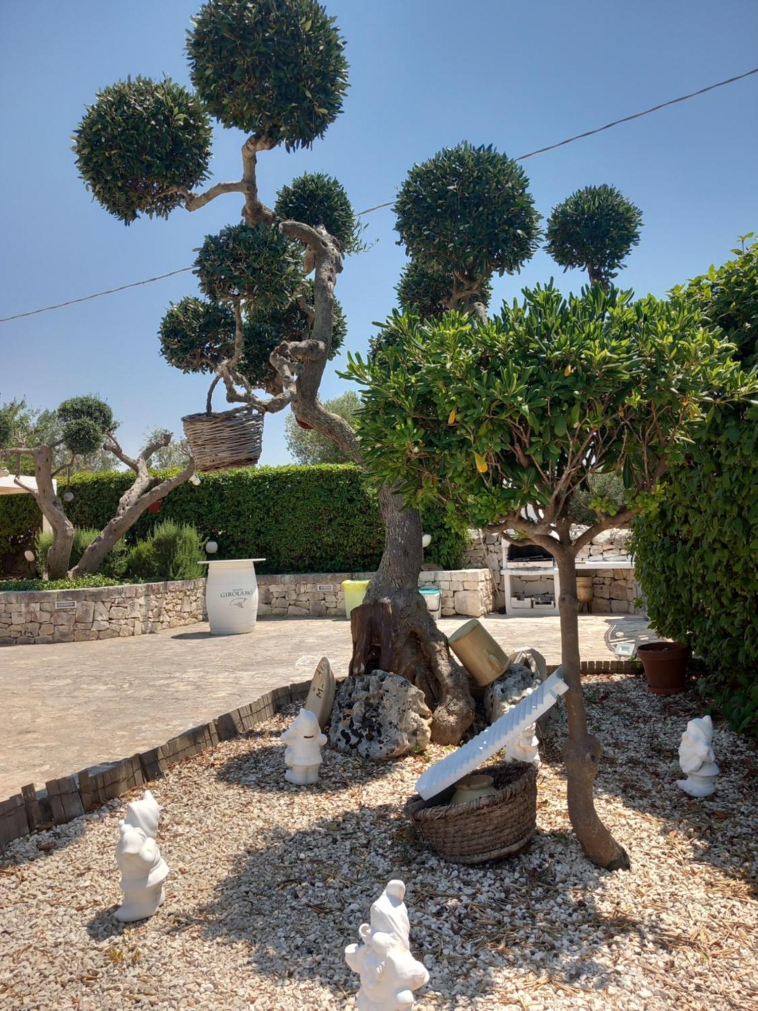Trullo Monte Del Sale Guest House Алберобело Екстериор снимка