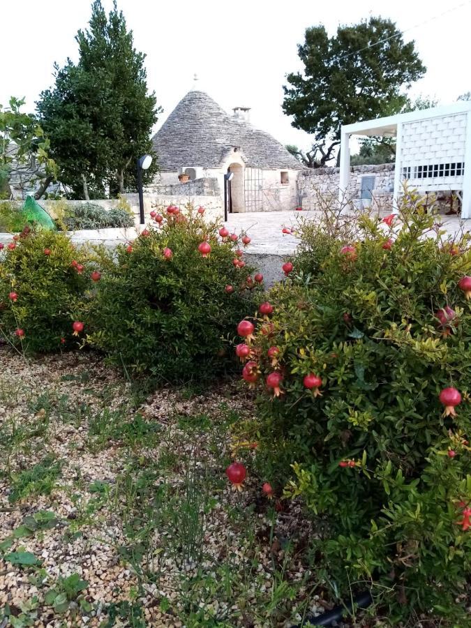 Trullo Monte Del Sale Guest House Алберобело Екстериор снимка